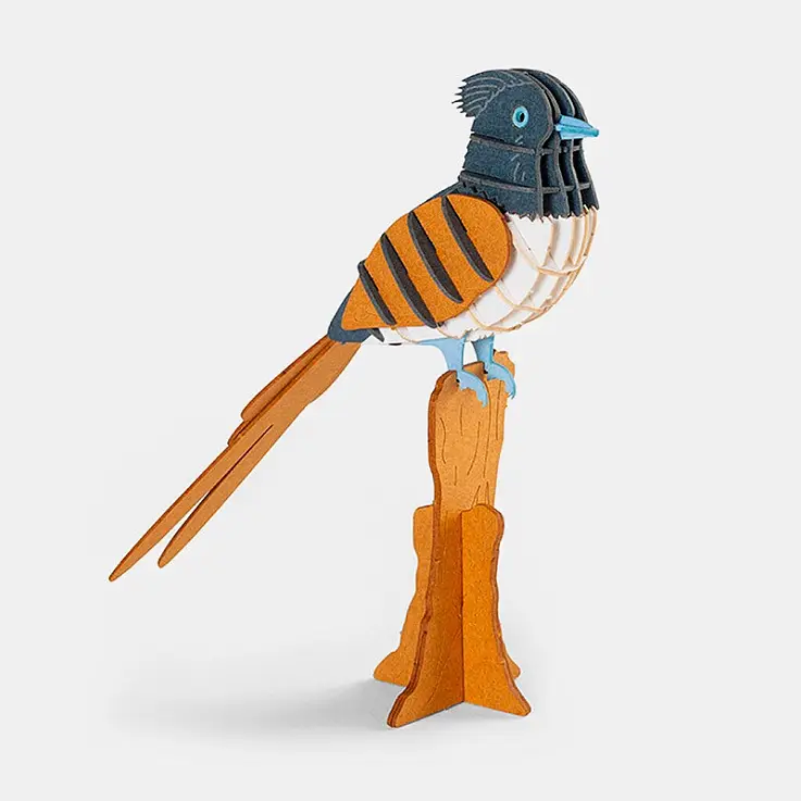 Monarca del paradiso