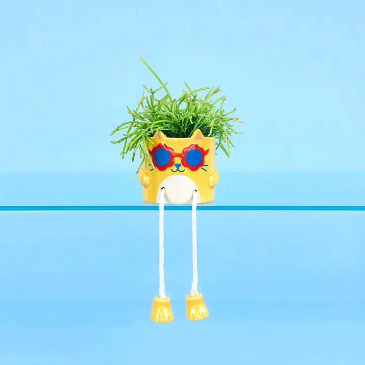 Mini fioriera Cool Cat